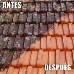 Limpia de verdín y musgo el tejado con el limpiador de tejados, terrazas y suelos