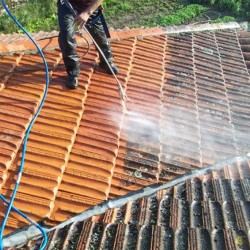 Elimina manchas de todo tipo en tejados aplicando el Limpiador de Tejados