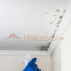 Limpiar manchas de moho y humedad en paredes con Detergente Antimoho ecológico Idroless sin cloro ni disolventes