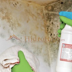 Consilex Muffa Cleaner de Azichem es un limpiador de manchas de moho y humedad para interiores o exteriores